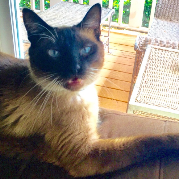 Meet your Posher, Andrea - Picture 1 of 1